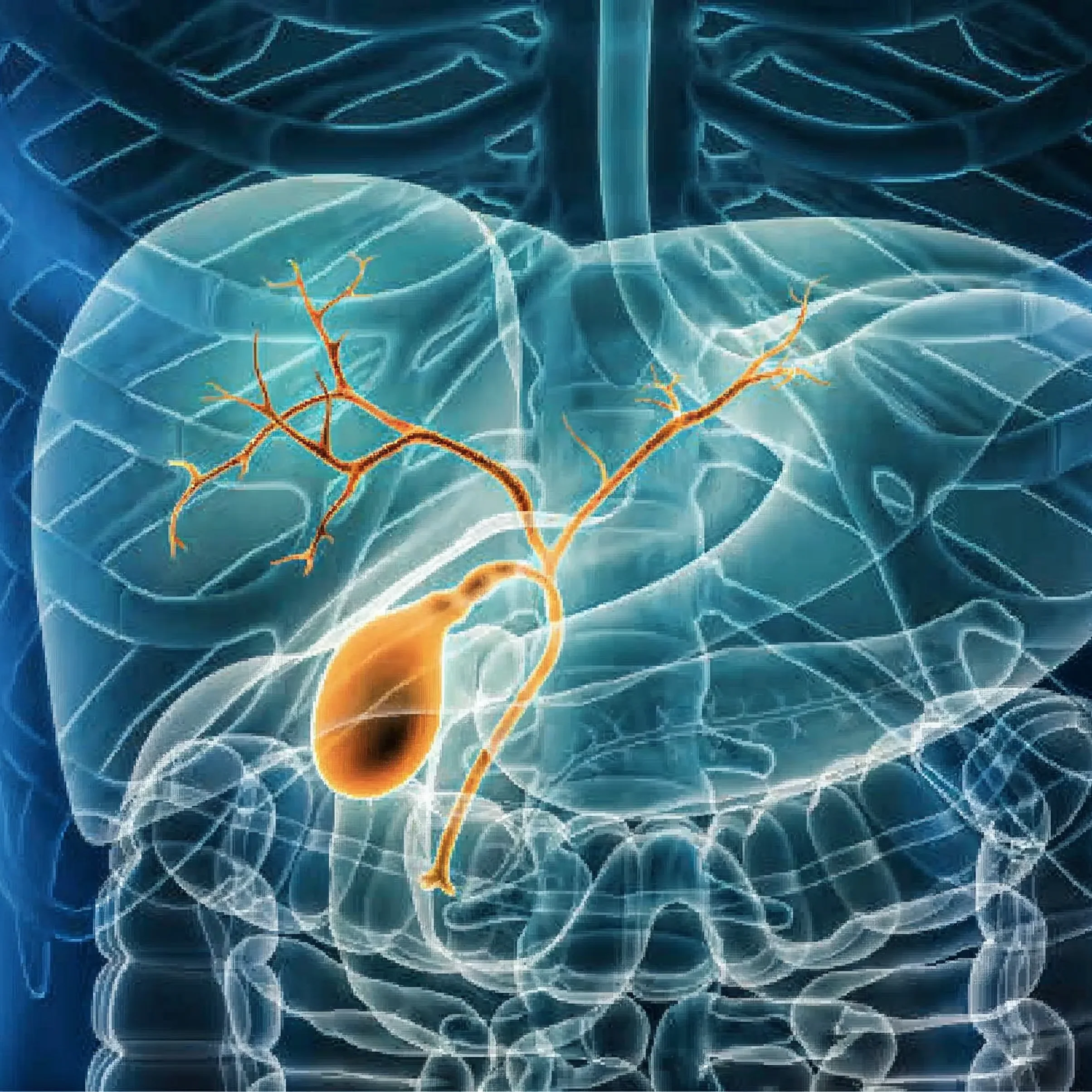 Cirugía General y Gastrointestinal